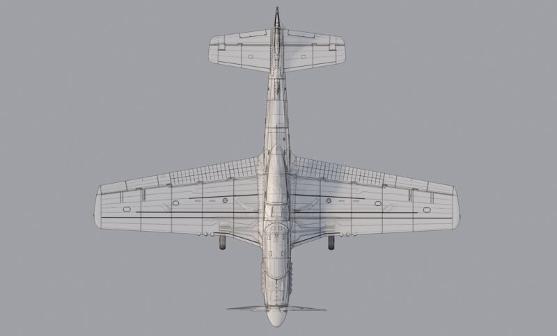 P51D_Mustang_top.RGB_color.0003